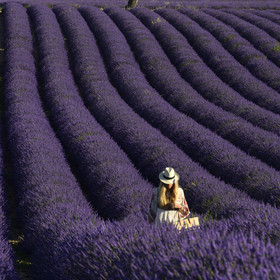 France, Valensole