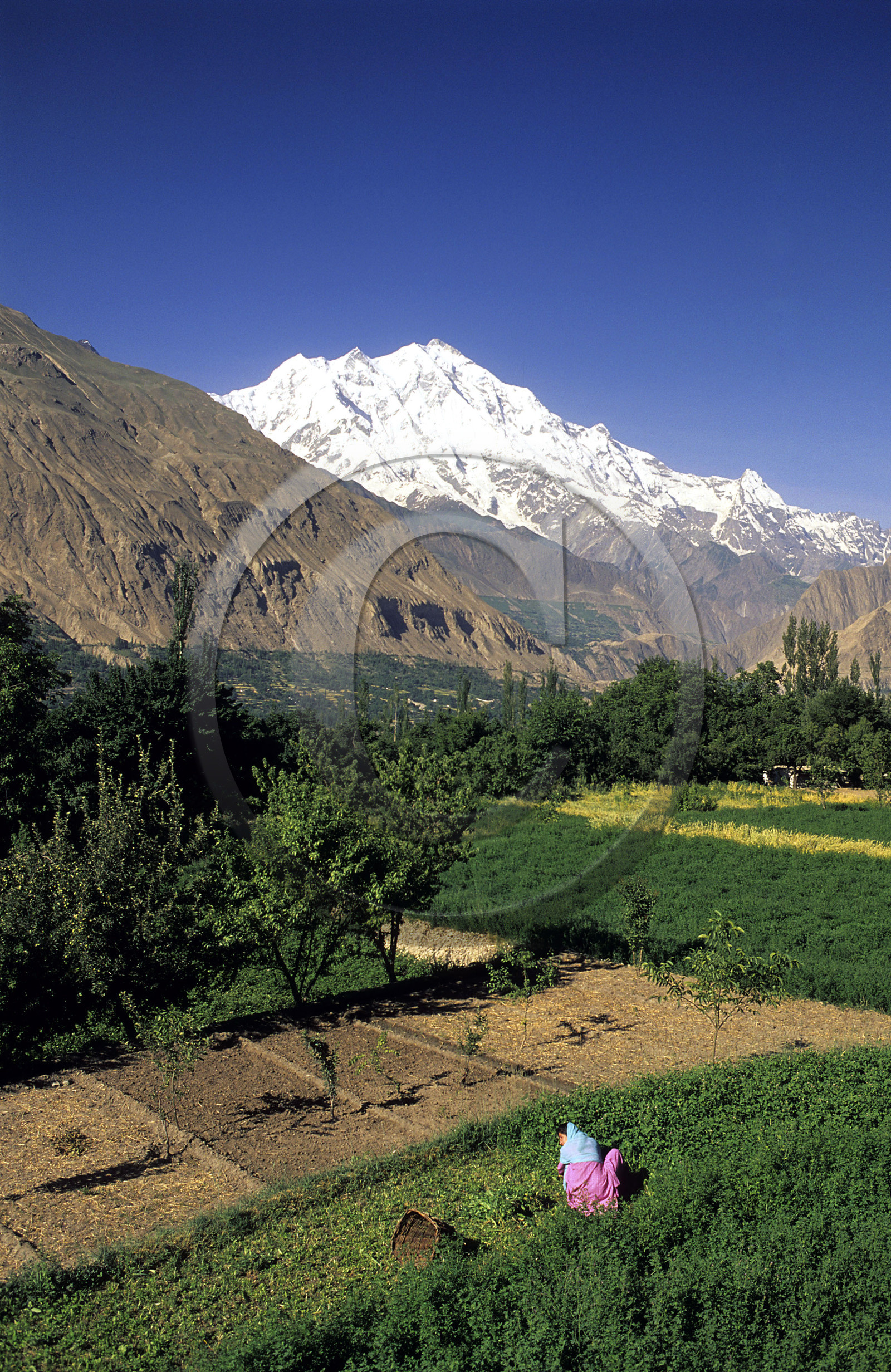 Village de Karimabad. Vallée de la Hunza dans l' Himalaya pakistanais