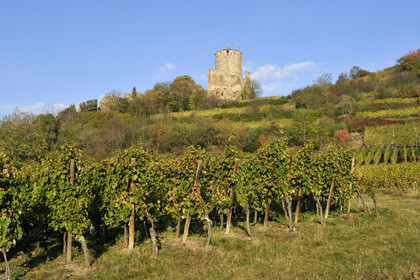 France, Kaysersberg