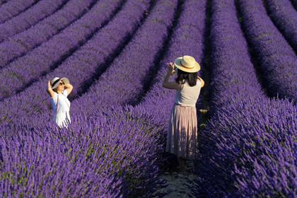 France, Valensole