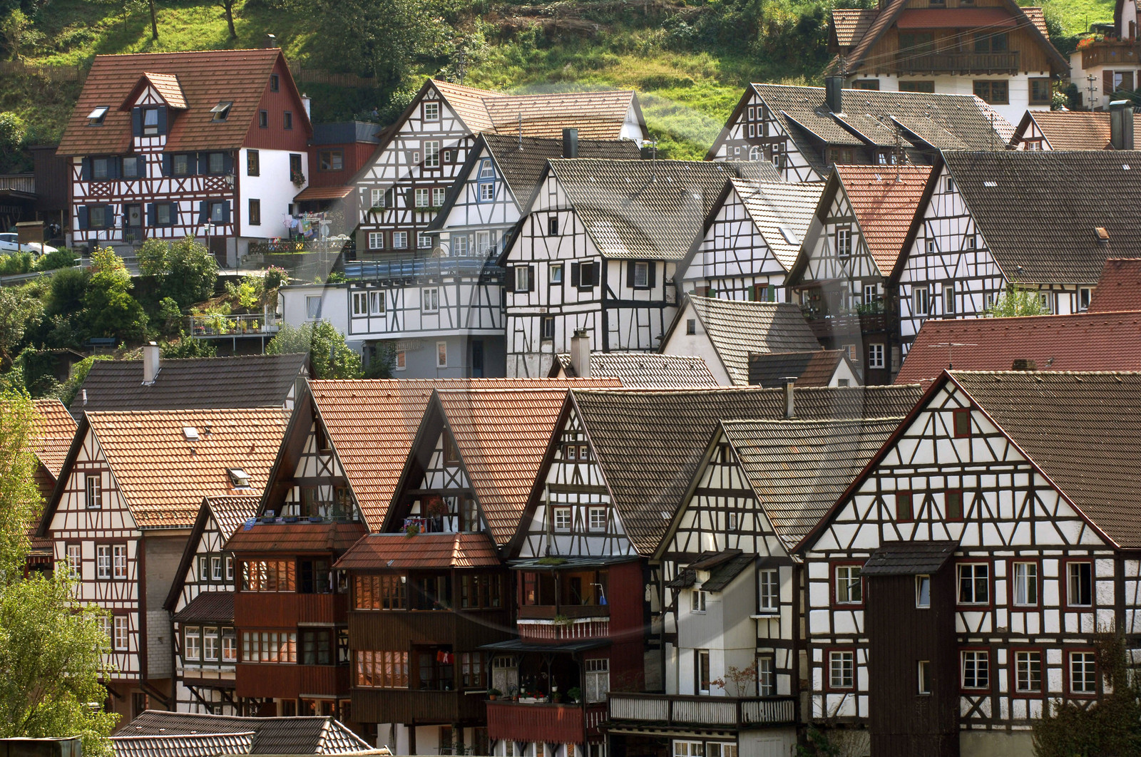 Black Forest, Germany