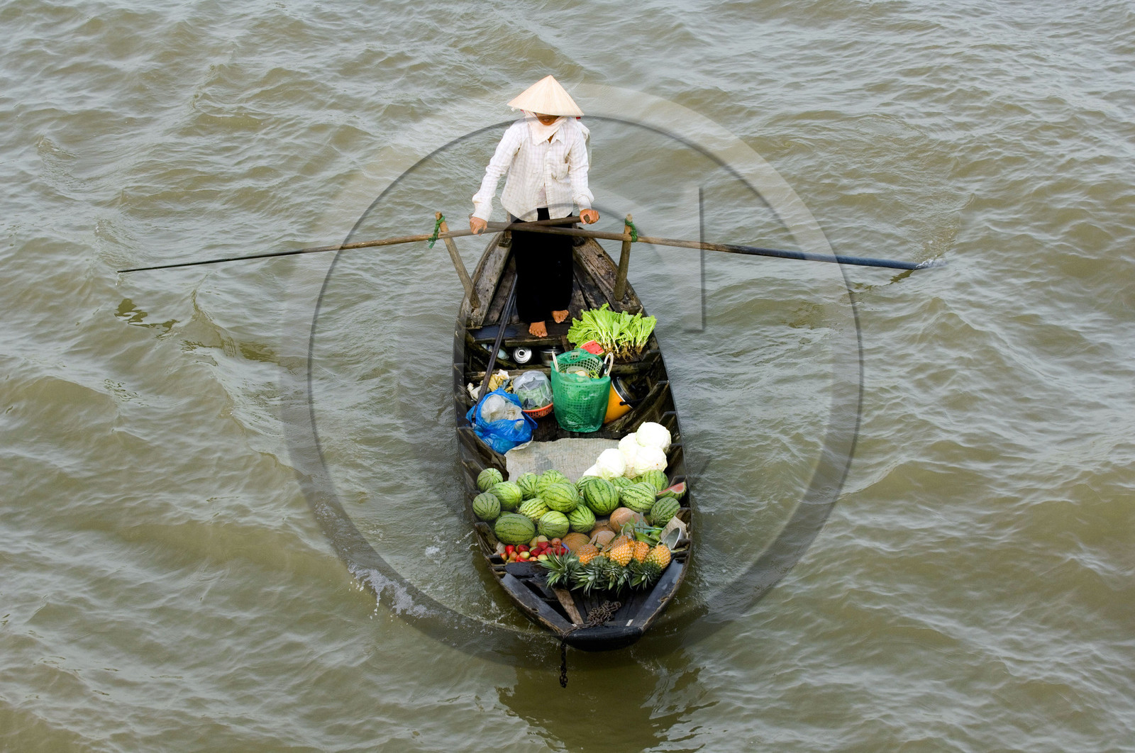 Delta du Mékong, Vietnam