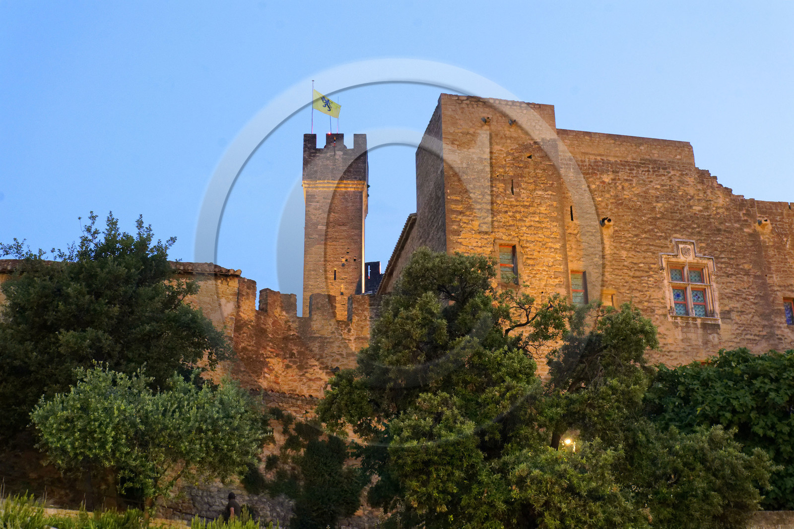 France, Salon de Provence