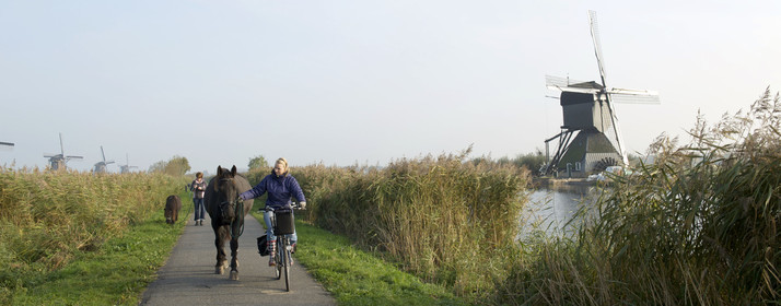 Hollande, Kinderdijk