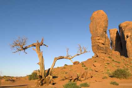 USA, MONUMENT VALLEY