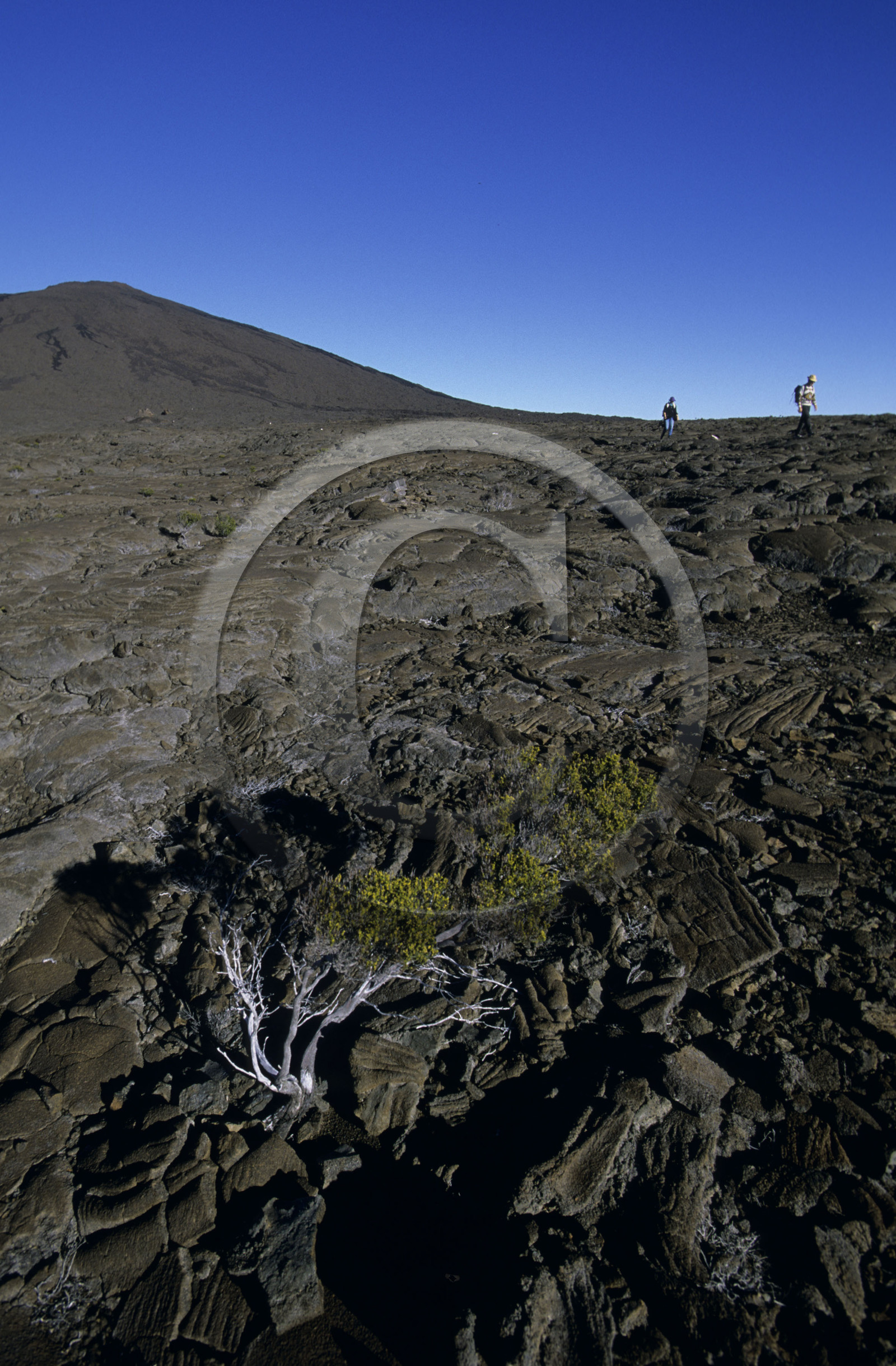 Ile de la Réunion.France