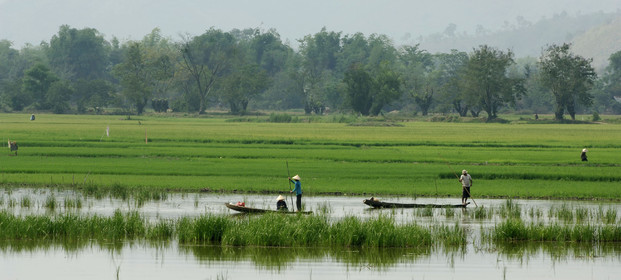 HAUTS PLATEAUX DU CENTRE. VIETNAM