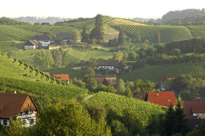 Black Forest, Germany