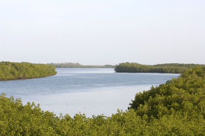 Saloum, Sénégal