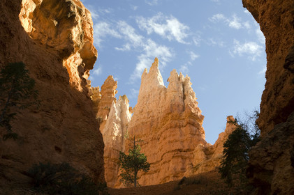 USA, BRYCE CANYON
