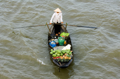 Delta du Mékong, Vietnam