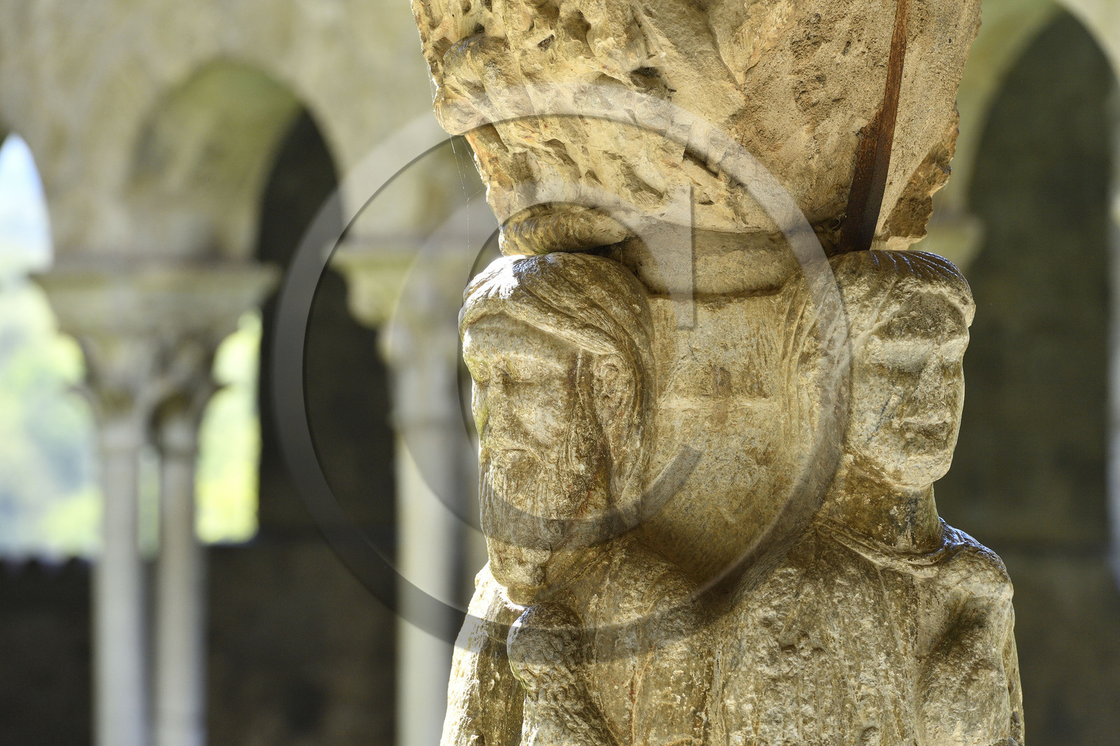 France france haute garonne saint bertrand comminges