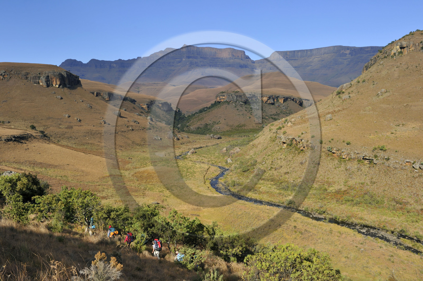 AFS, Drakensberg