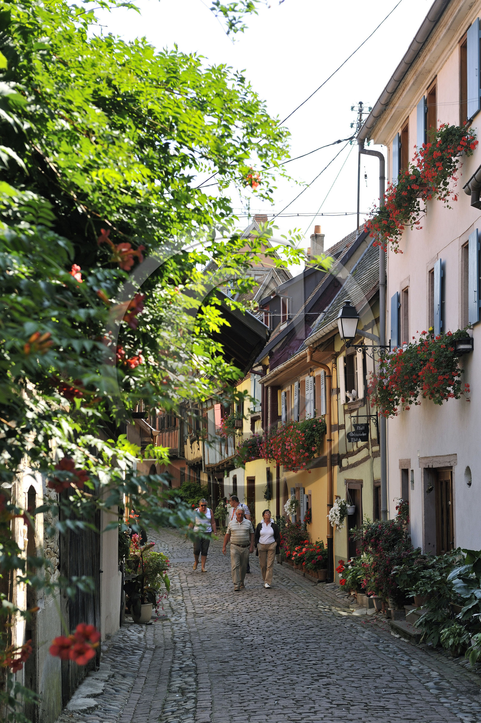 France, Eguisheim