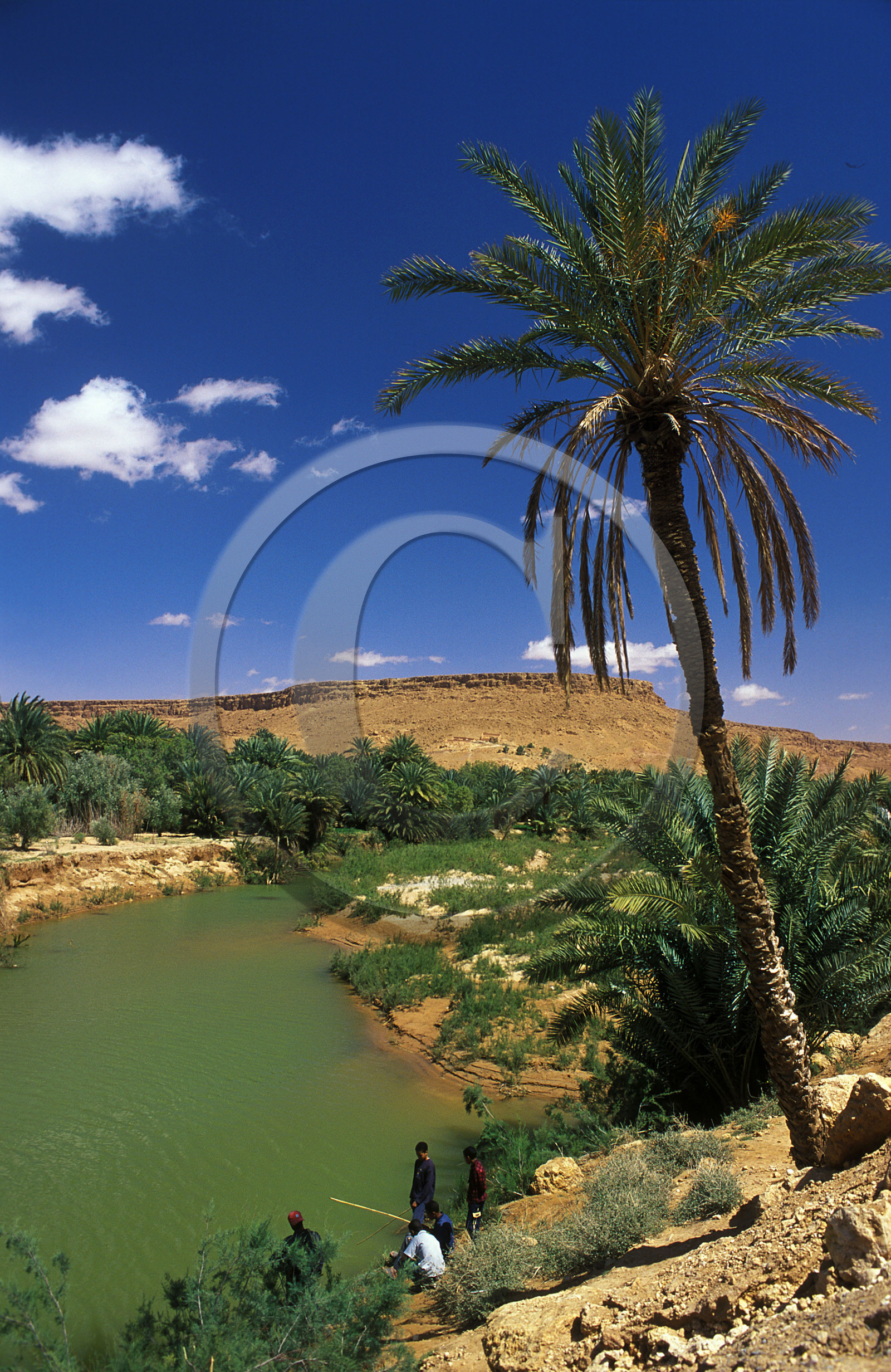 MAROC   VALLÉE DU ZIZ