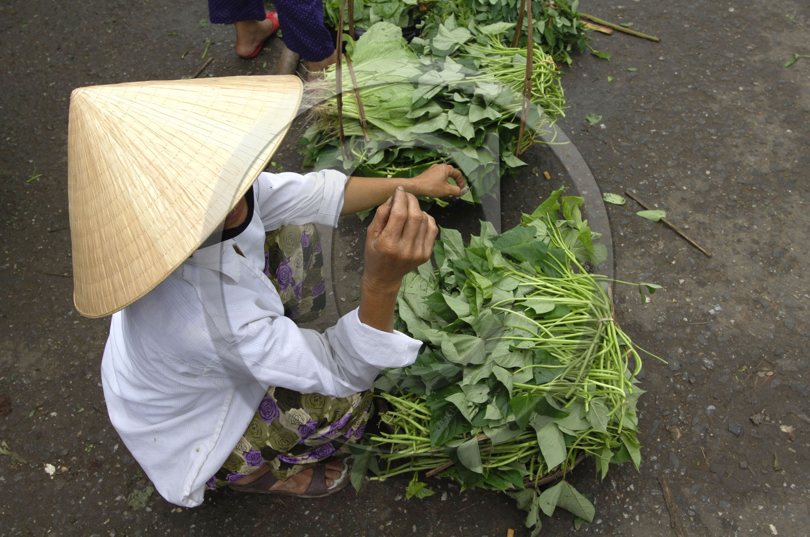 HOI AN. VIETNAM