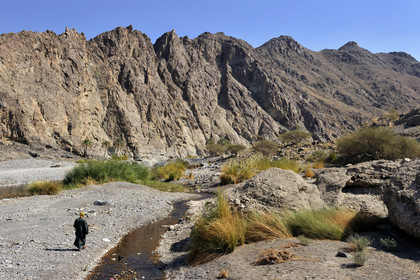 Oman, Nakhl