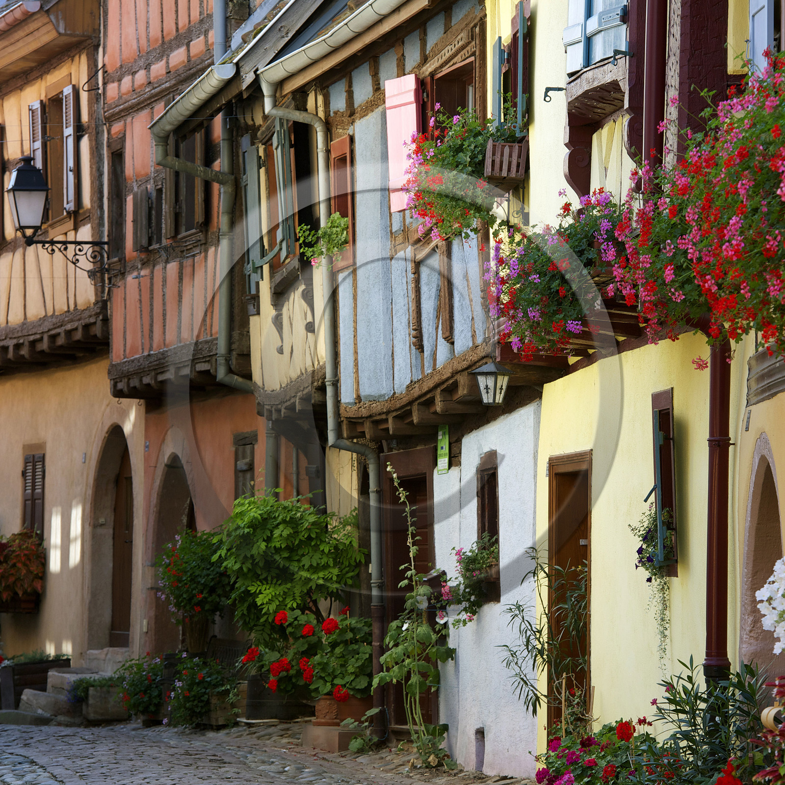 France, Eguisheim