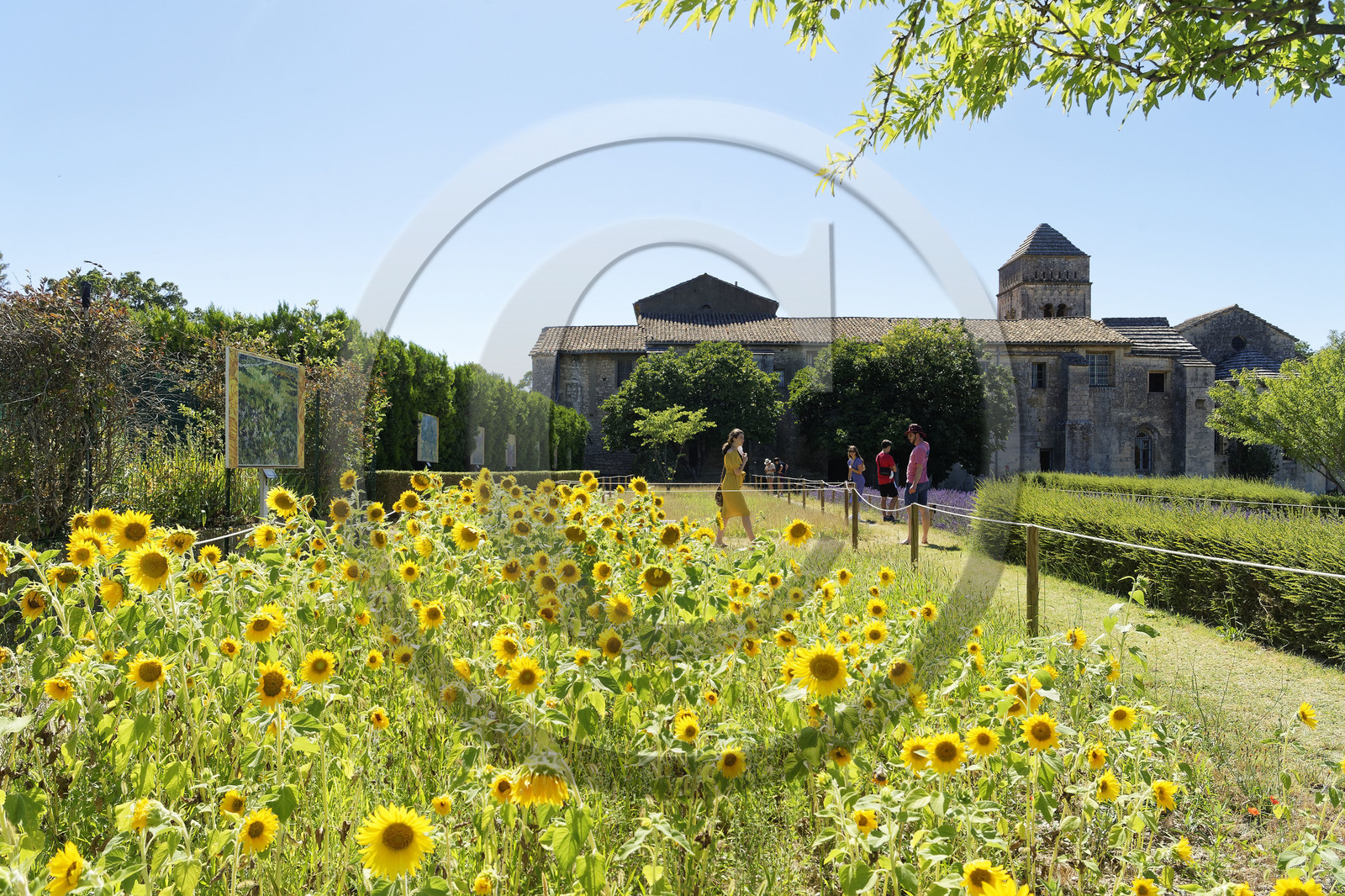 France, Saint Remy de Provence