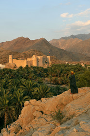 Oman, Nakhl