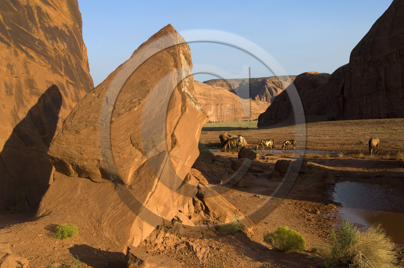 USA, MONUMENT VALLEY