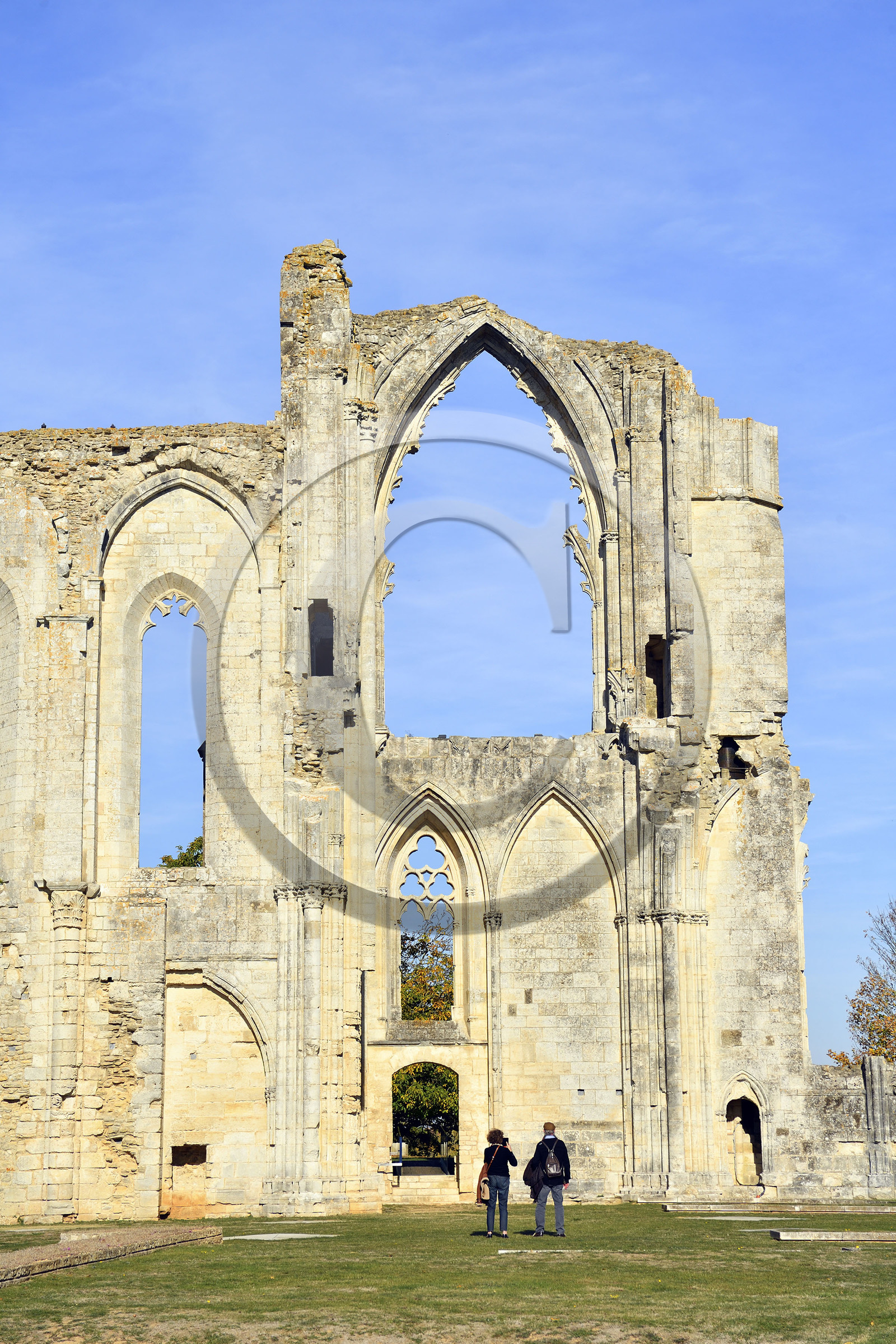 France, Marais Poitevin