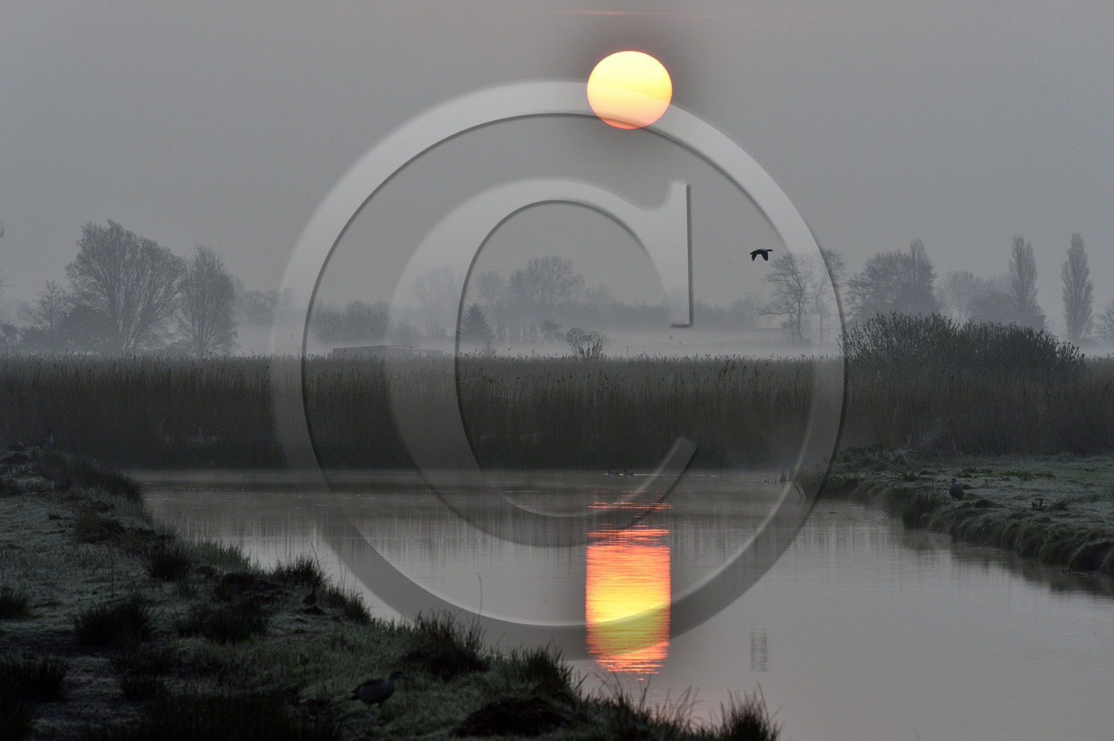 Hollande, Zaanse Schans