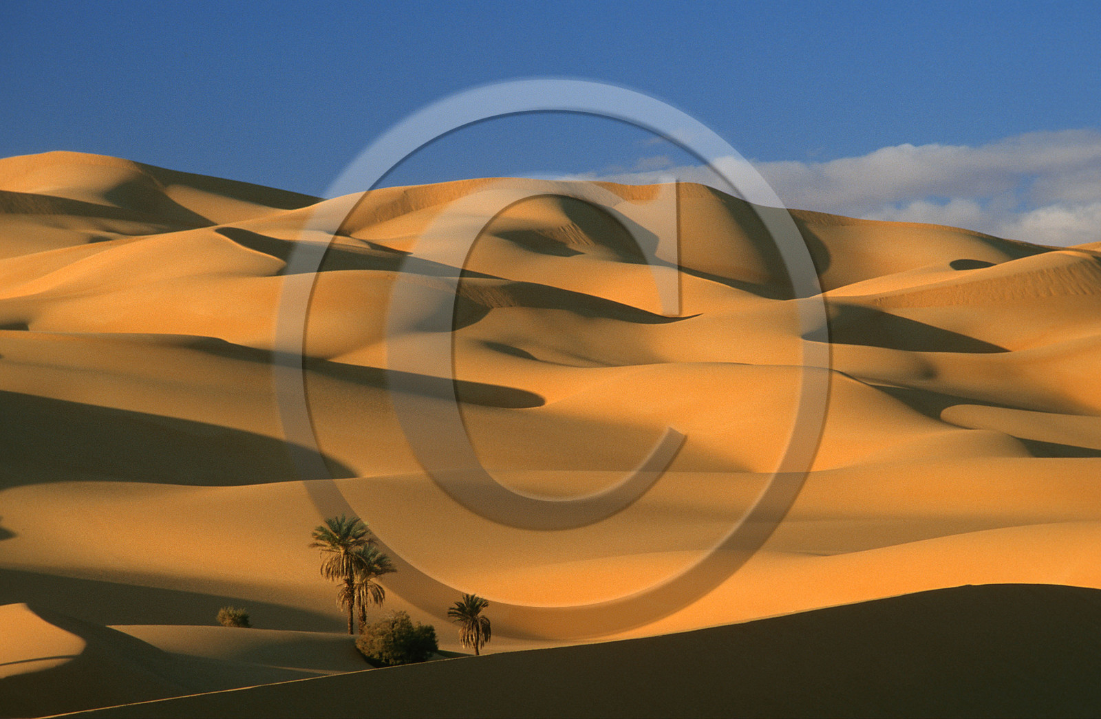 Dunes d' Oubarit, Libye