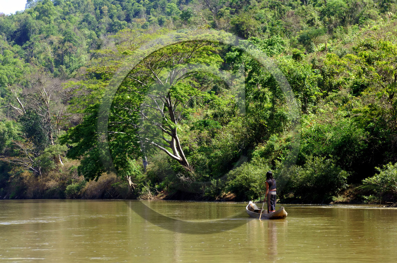 HAUTS PLATEAUX DU CENTRE. VIETNAM