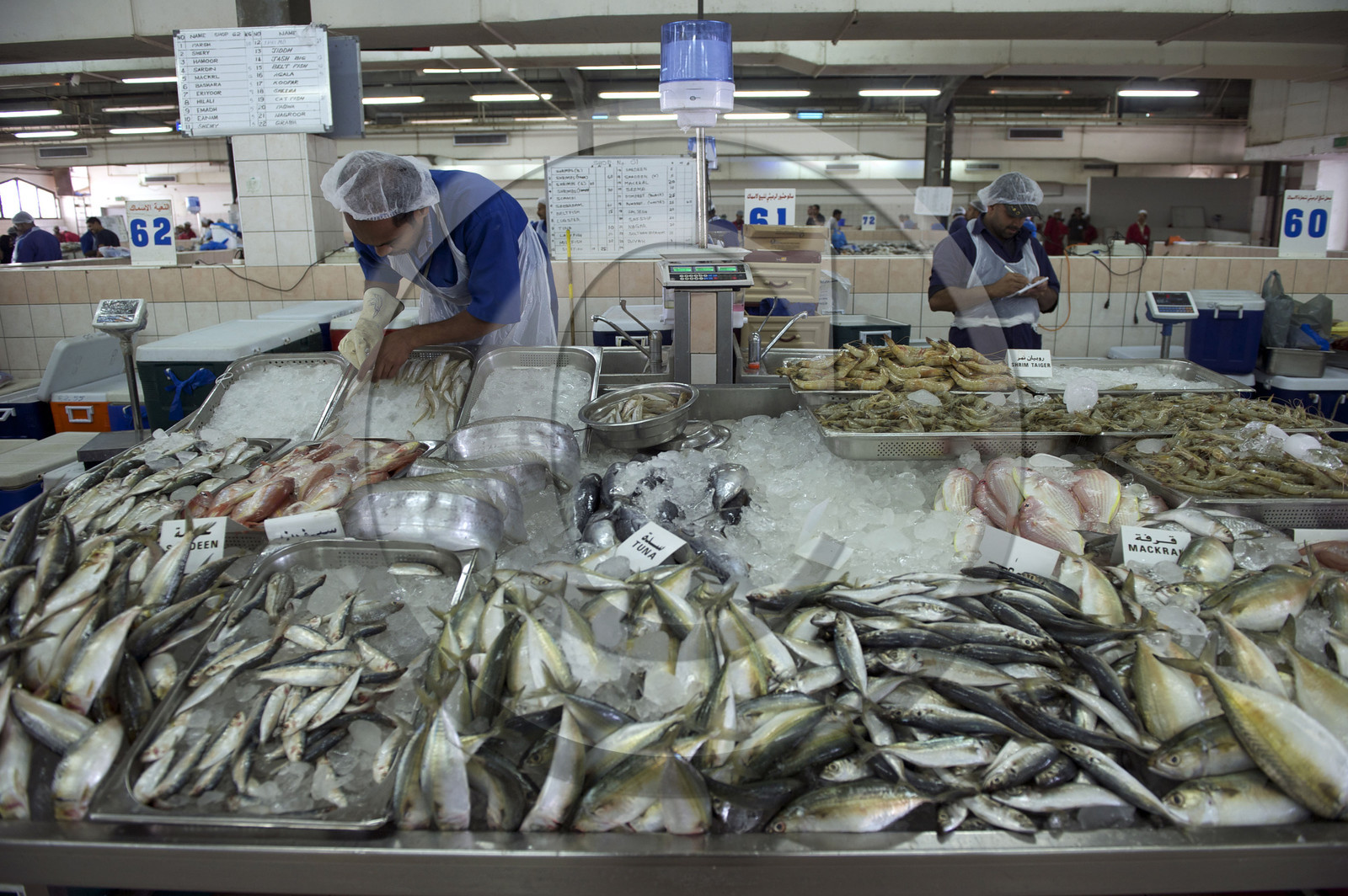 Abu Dhabi, Emirats Arabe Unis