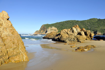 AFS, Knysna