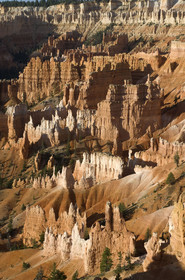 USA, BRYCE CANYON