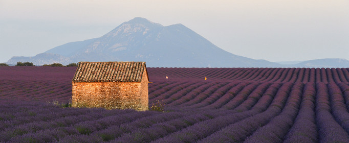 France, Valensole