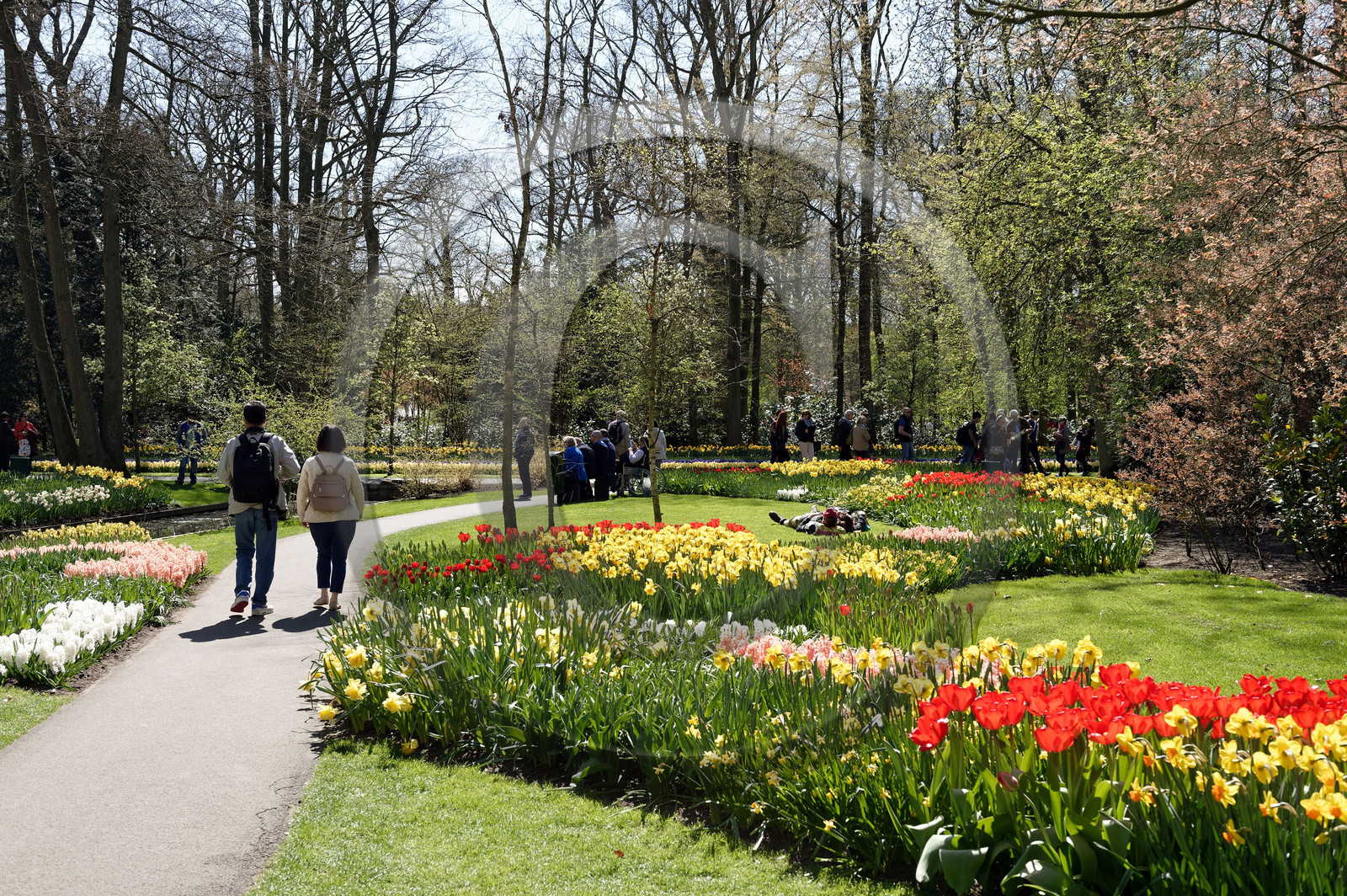 Hollande, Keukenhof
