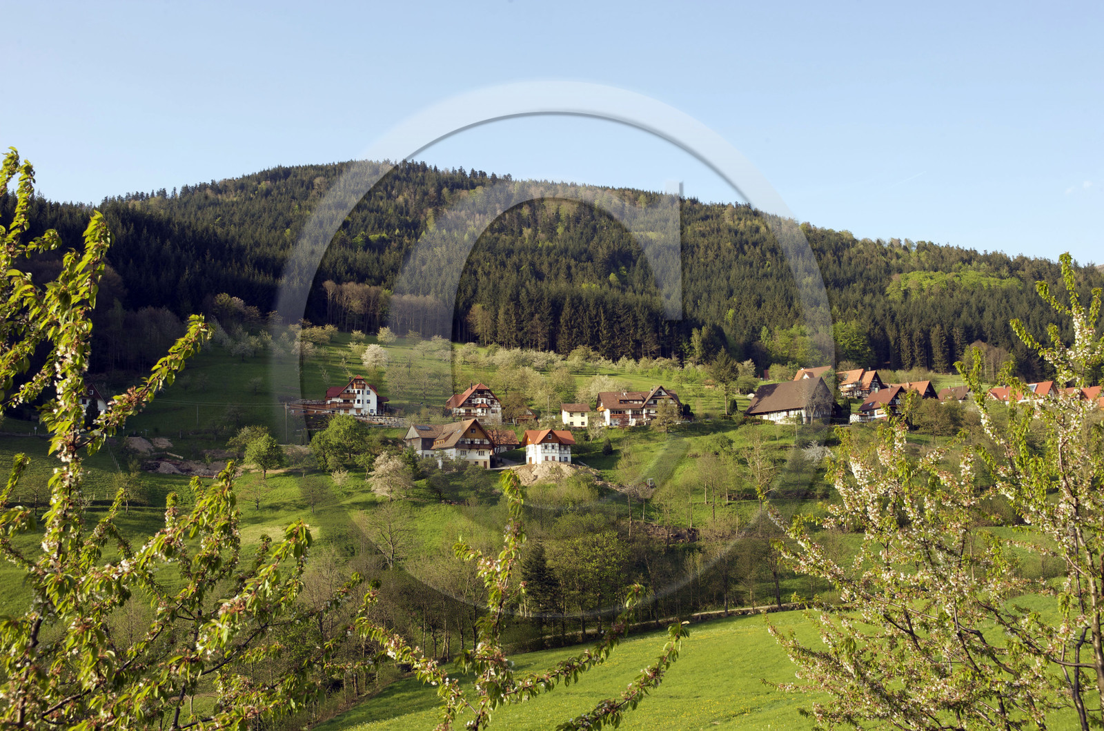 Allemagne, Forêt Noire