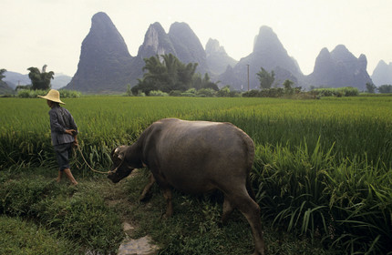 GUILIN. CHINE