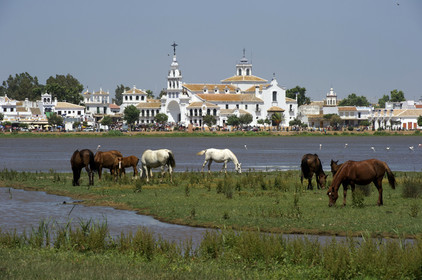 Espagne, El Rocio