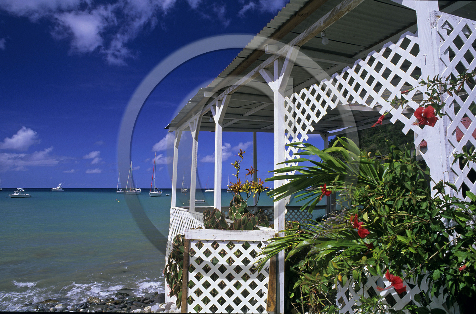 Deshaies.Guadeloupe. Antilles Françaises