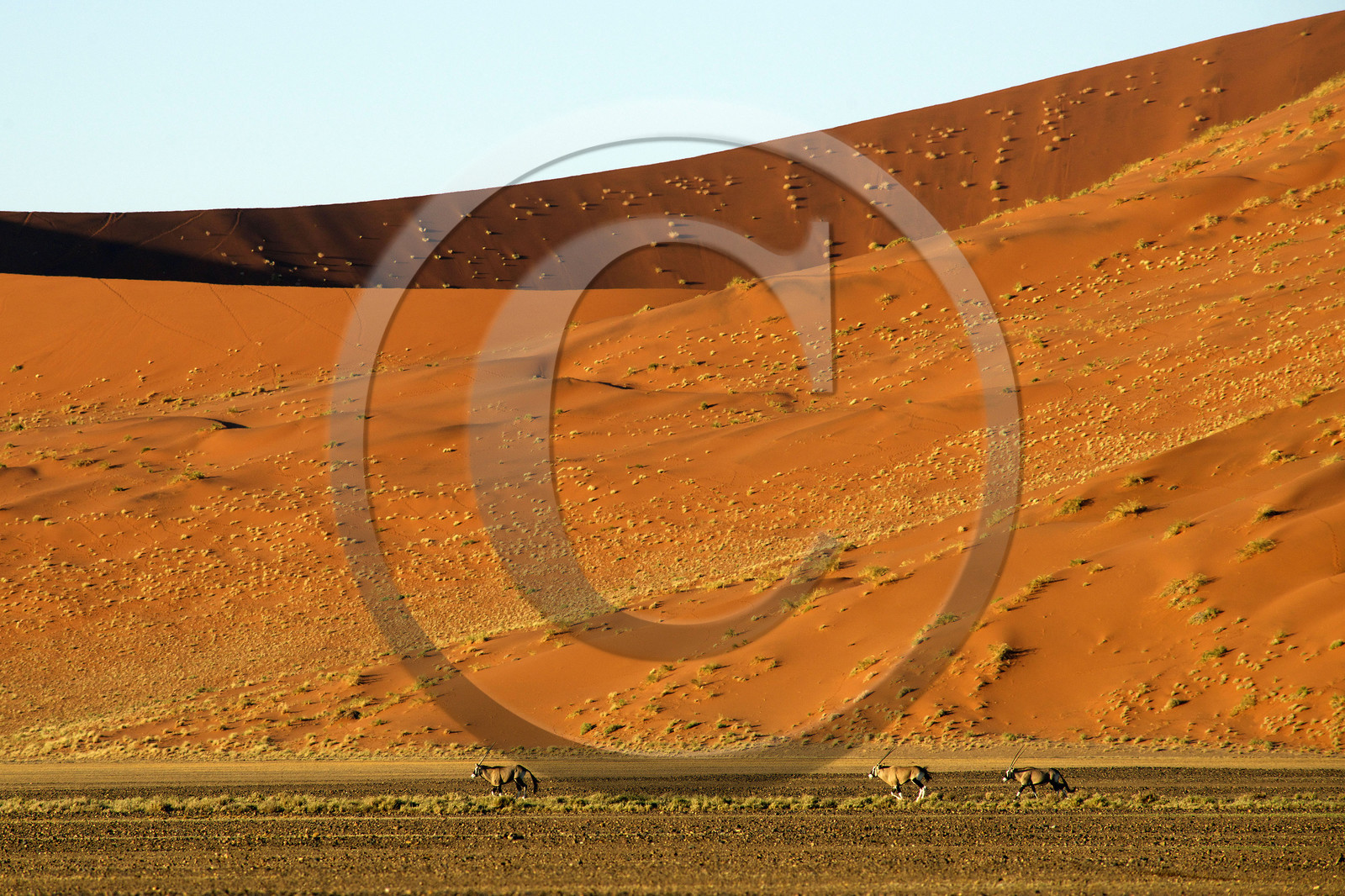 Namibie, Sossusvlei