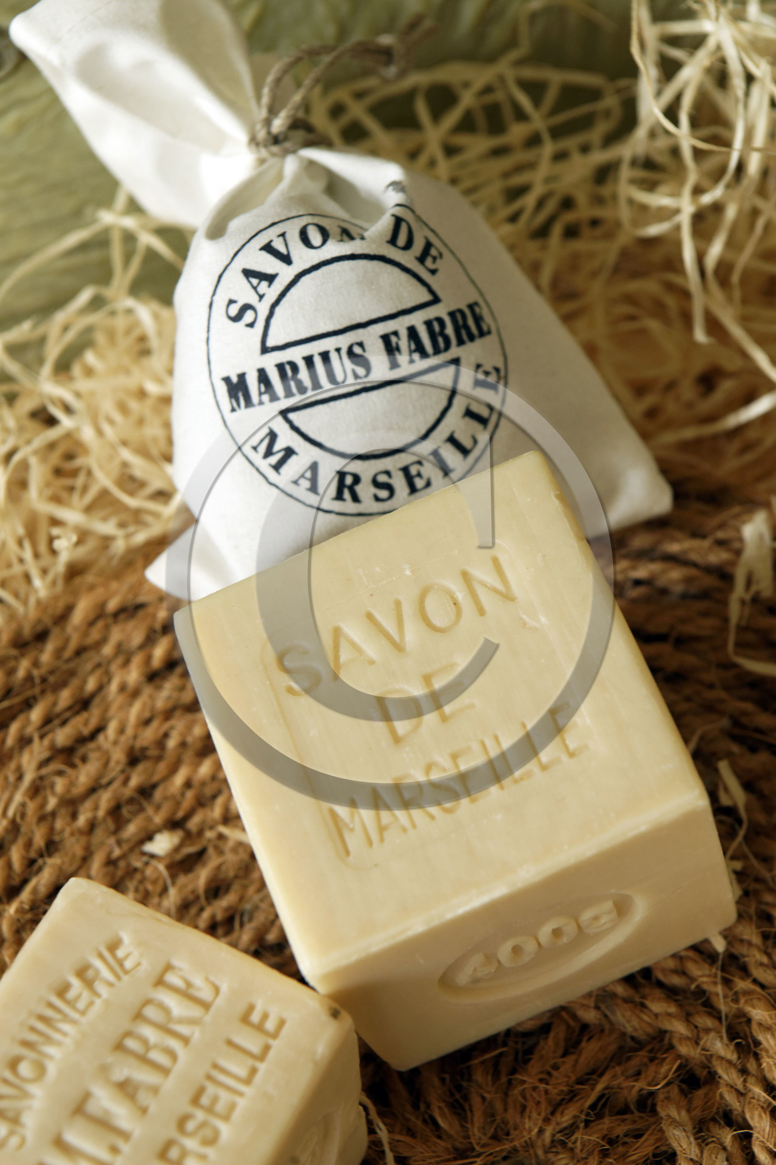 France, Salon de Provence