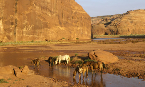 USA, MONUMENT VALLEY