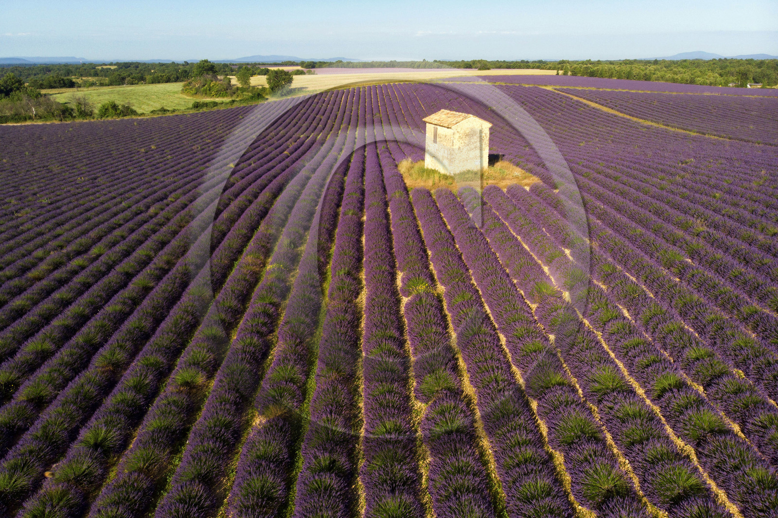 France, Valensole