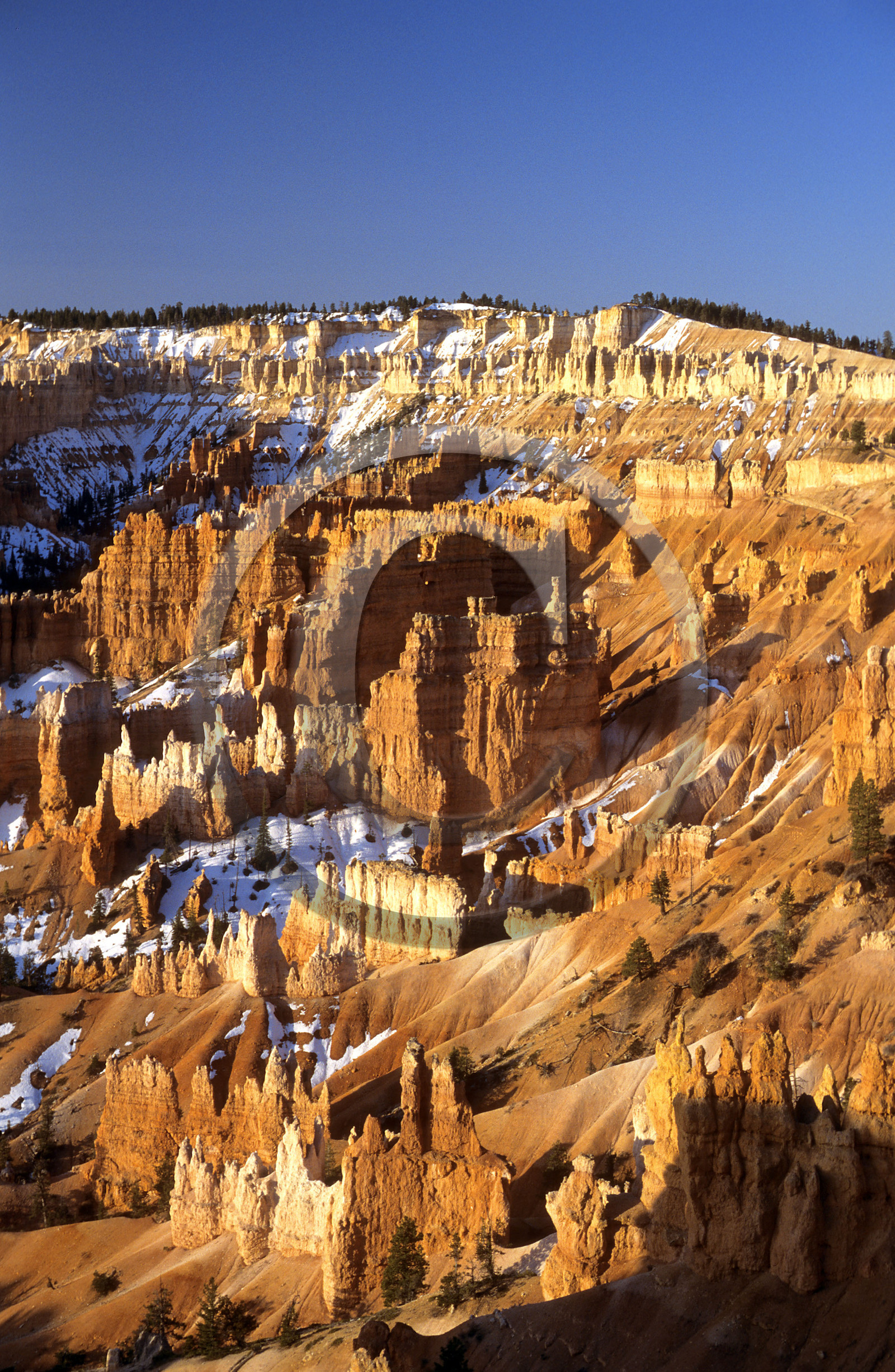 Bryce, USA