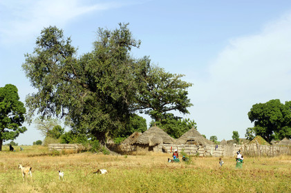 Saloum, Sénégal