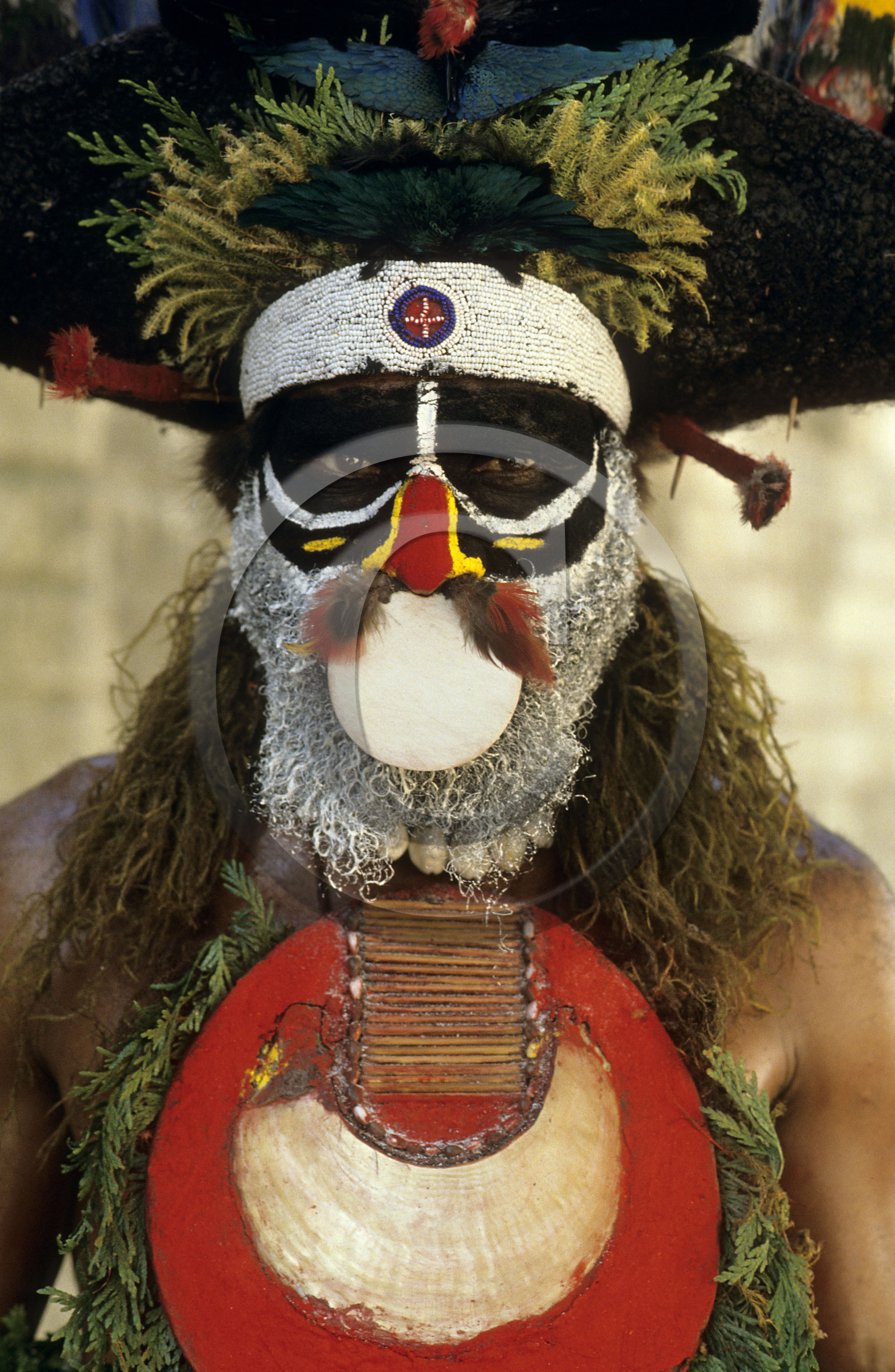 Papous, Nouvelle Guinée