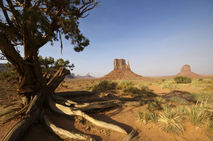 USA, MONUMENT VALLEY