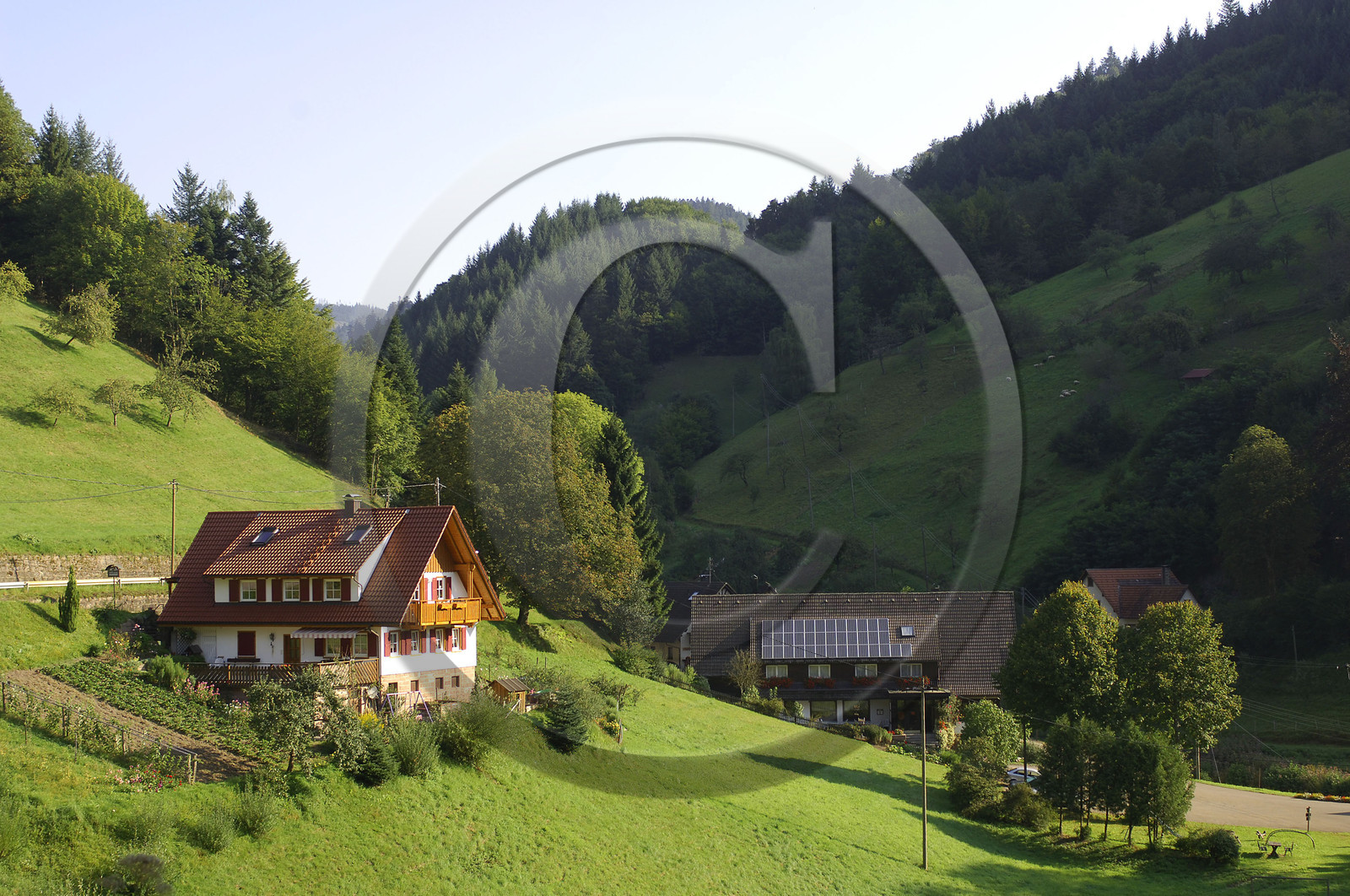 Black Forest, Germany