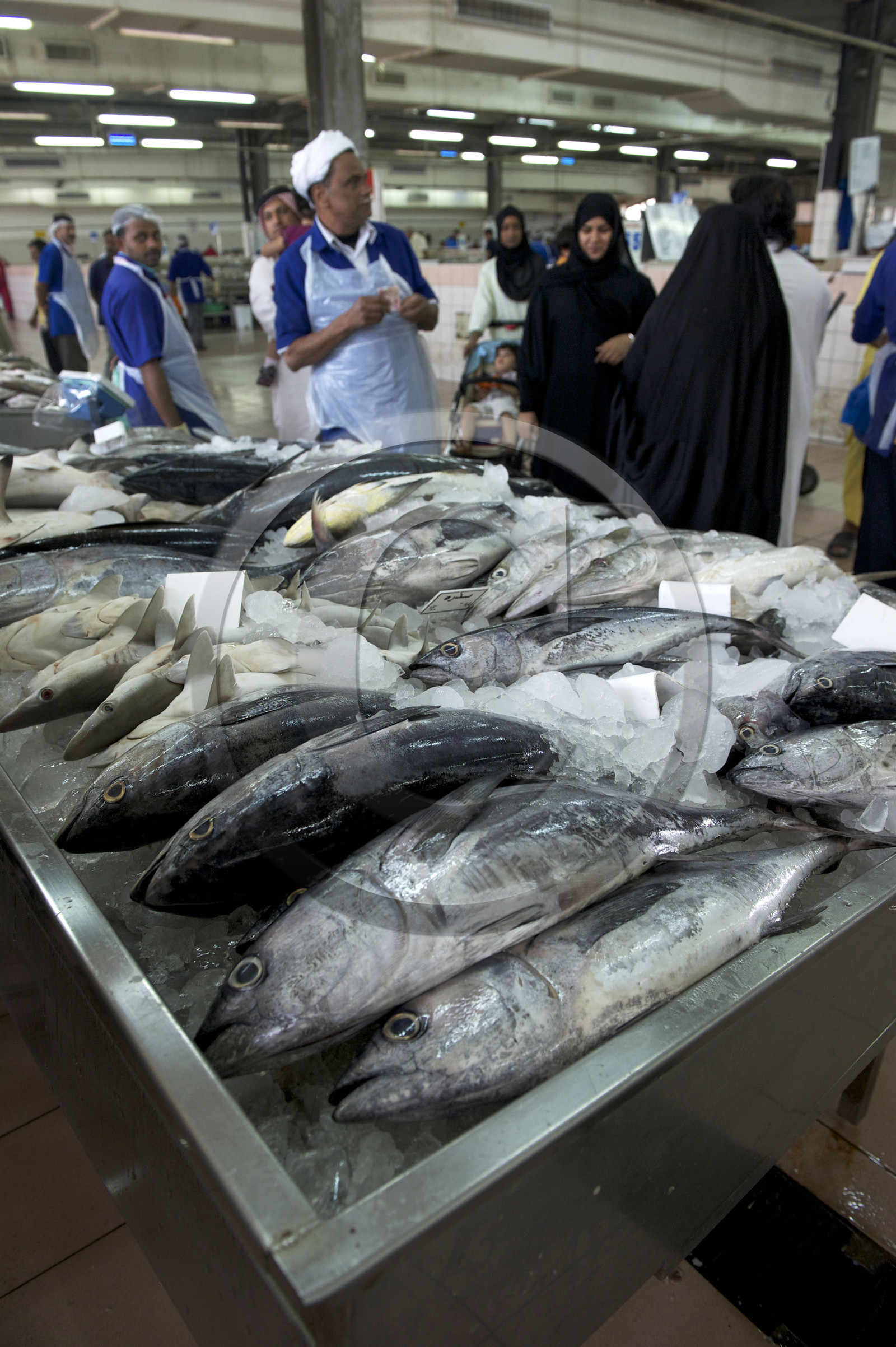 Abu Dhabi, Emirats Arabe Unis