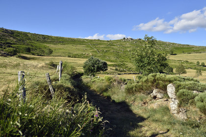 France, Lozere