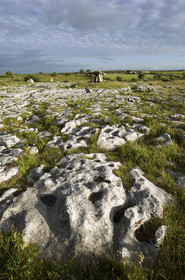 Irlande, Poulnabrone